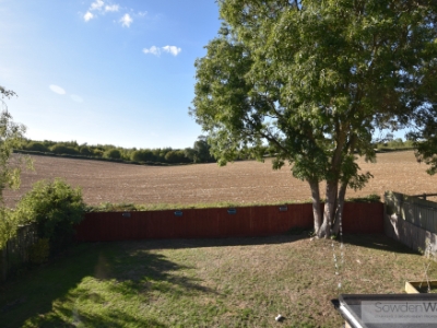 Picture 17